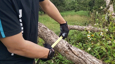8.gif