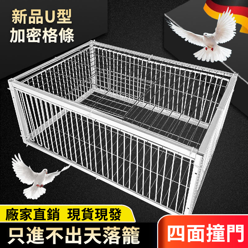 捕鳥天落籠,鳥兒自投羅網!高品質材料,坚固耐用,操作簡單,易上手,助您捕鳥的不二之選! 捕鳥天落籠,鳥兒自投羅網!高品質材料,坚固耐用,操作簡單,易上手,助您捕鳥的不二之選!