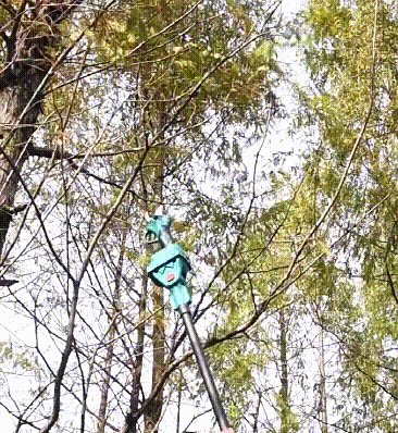 1772093442276222.gif 1688202399897581.gif